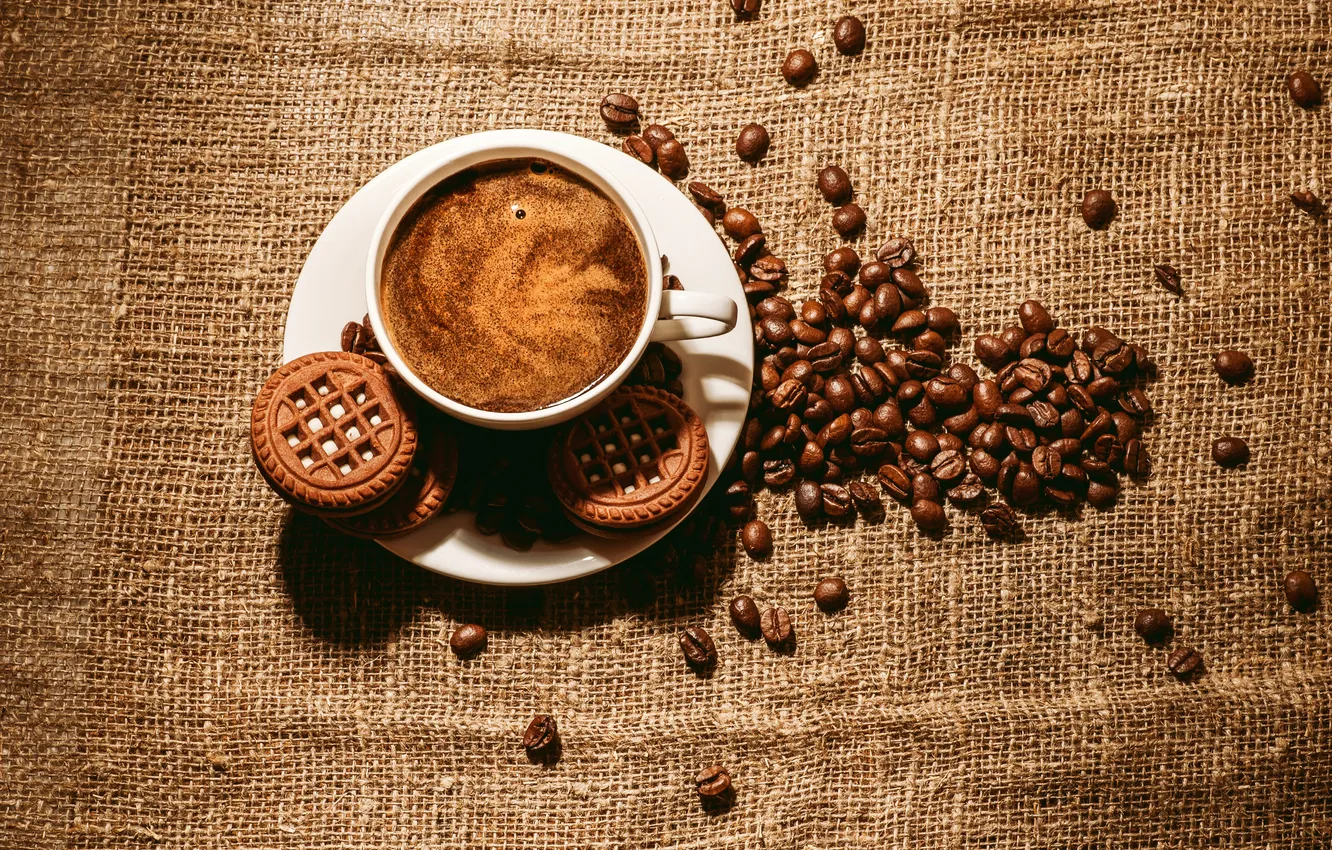 Photo wallpaper foam, coffee, grain, cookies, Cup, cookie, saucer