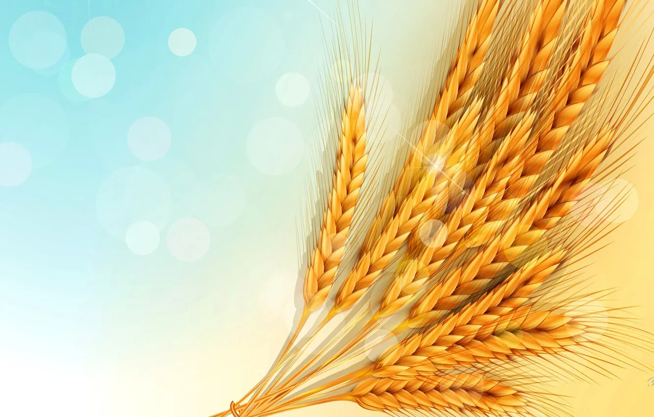 Photo wallpaper the sky, macro, glare, ears