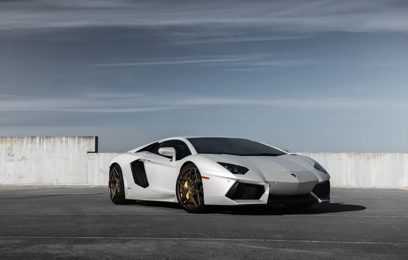 Photo wallpaper Lamborghini, wheels, road, Aventador, niche, Technica