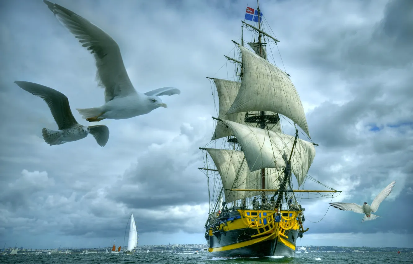 Photo wallpaper sea, seagulls, sailboat