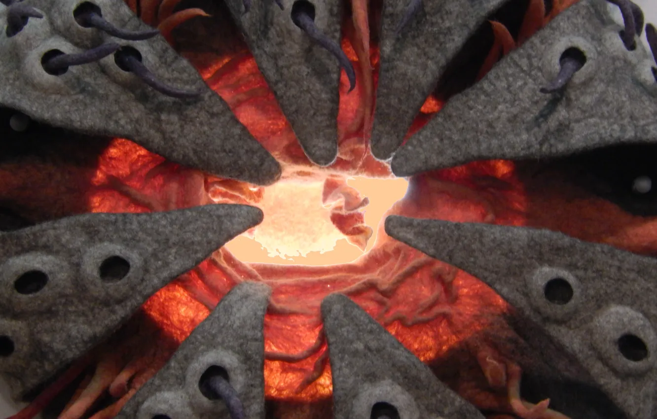 Photo wallpaper background, widescreen, Wallpaper, wallpaper, widescreen, background, beautiful Wallpaper, the Wallpapers