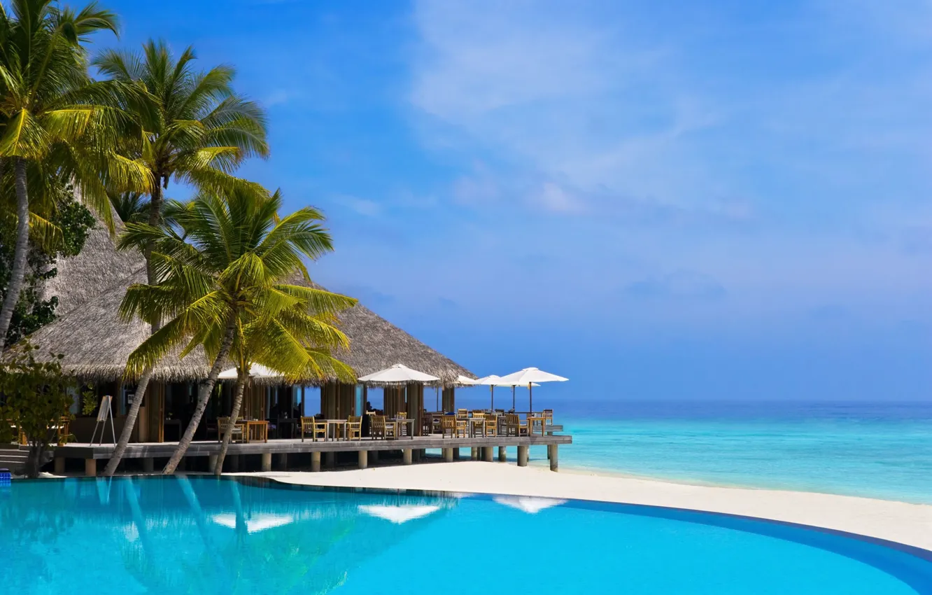 Photo wallpaper palm trees, the ocean, pool, Bungalow