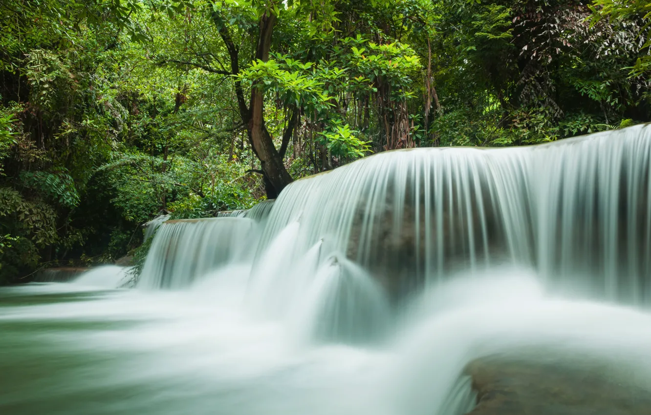 Photo wallpaper forest, water, nature, waterfall, stream
