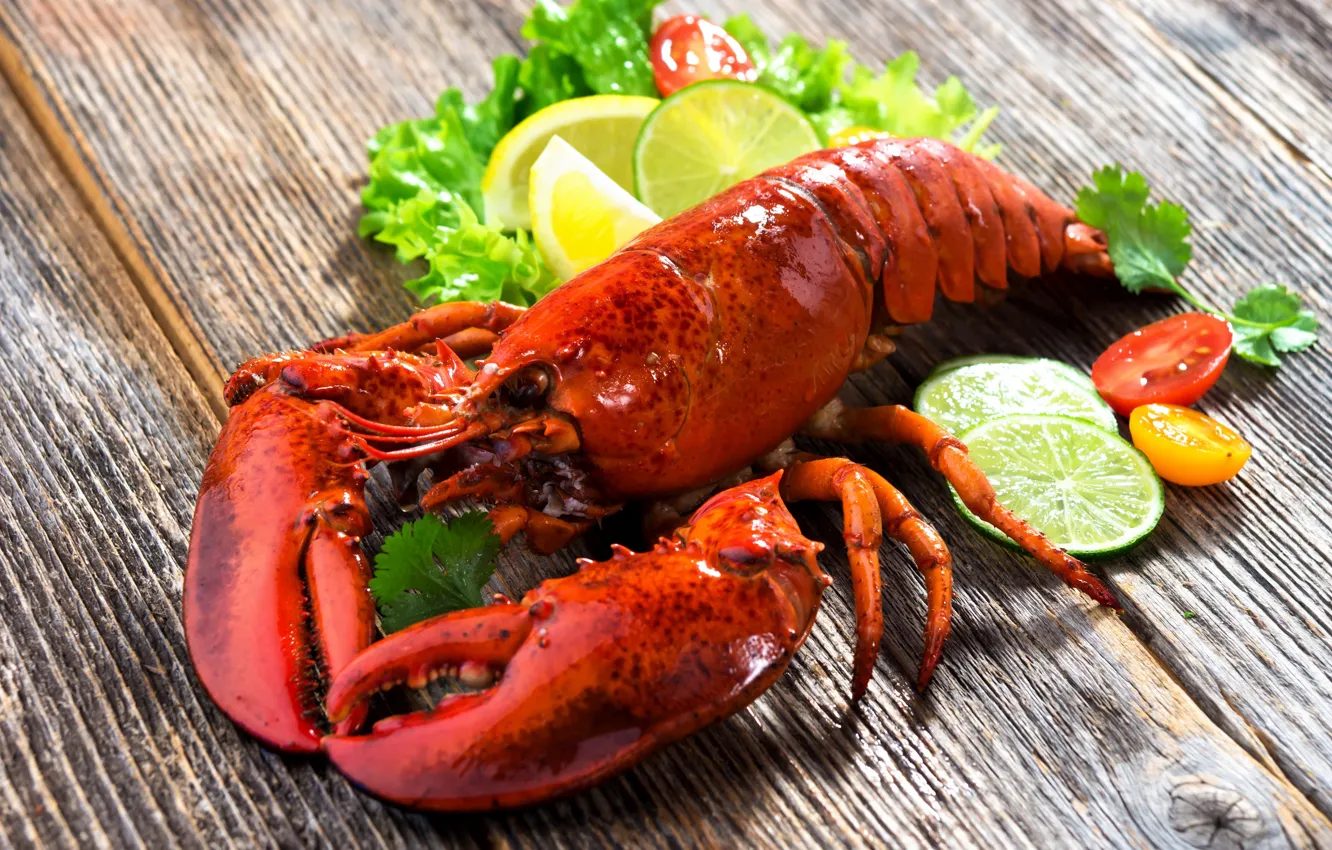 Photo wallpaper lime, citrus, cancers