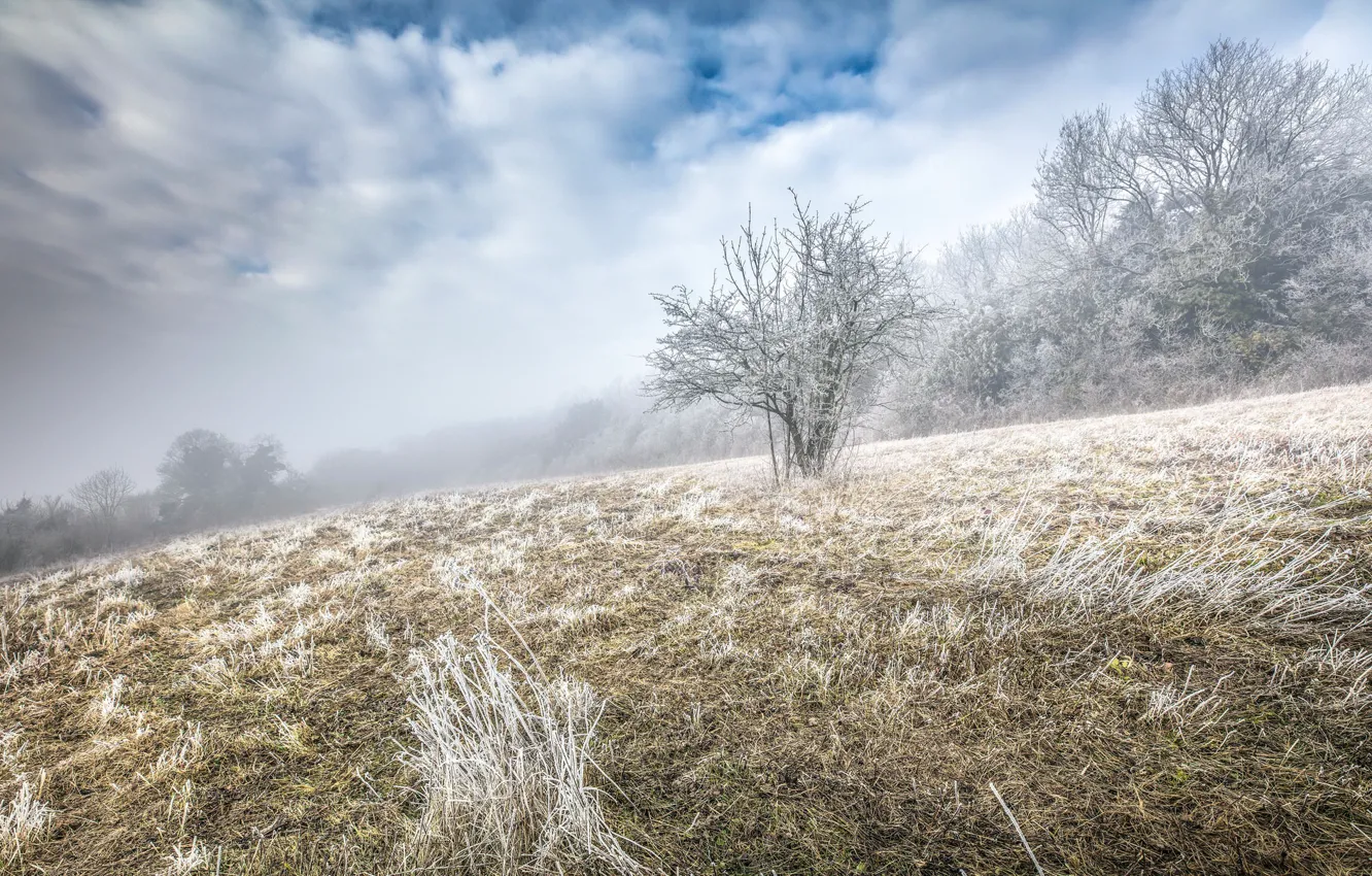 Photo wallpaper winter, frost, fog