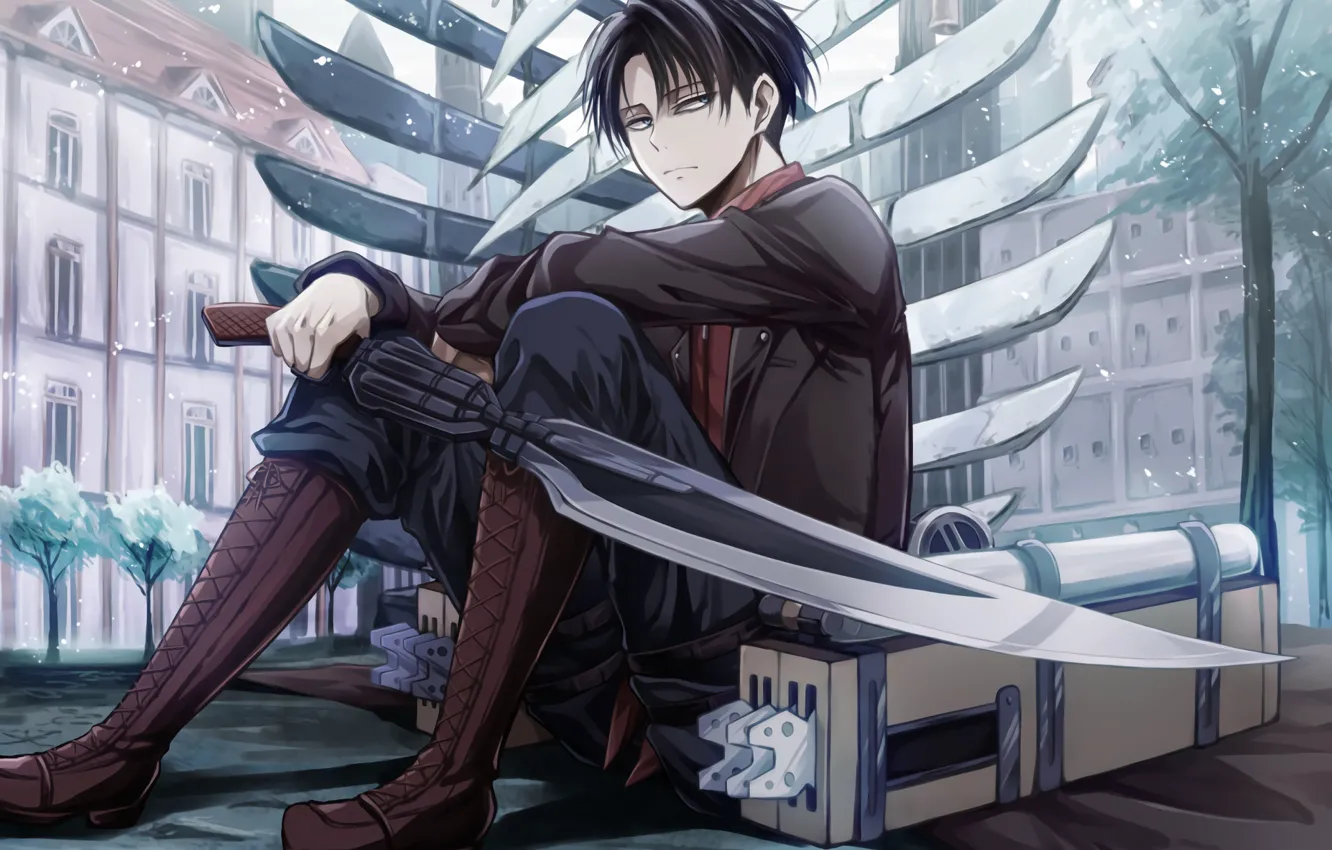 Photo wallpaper anime, art, Shingeki no Kyojin, Attack Of The Titans, The Invasion Of The Giants, Levi, …
