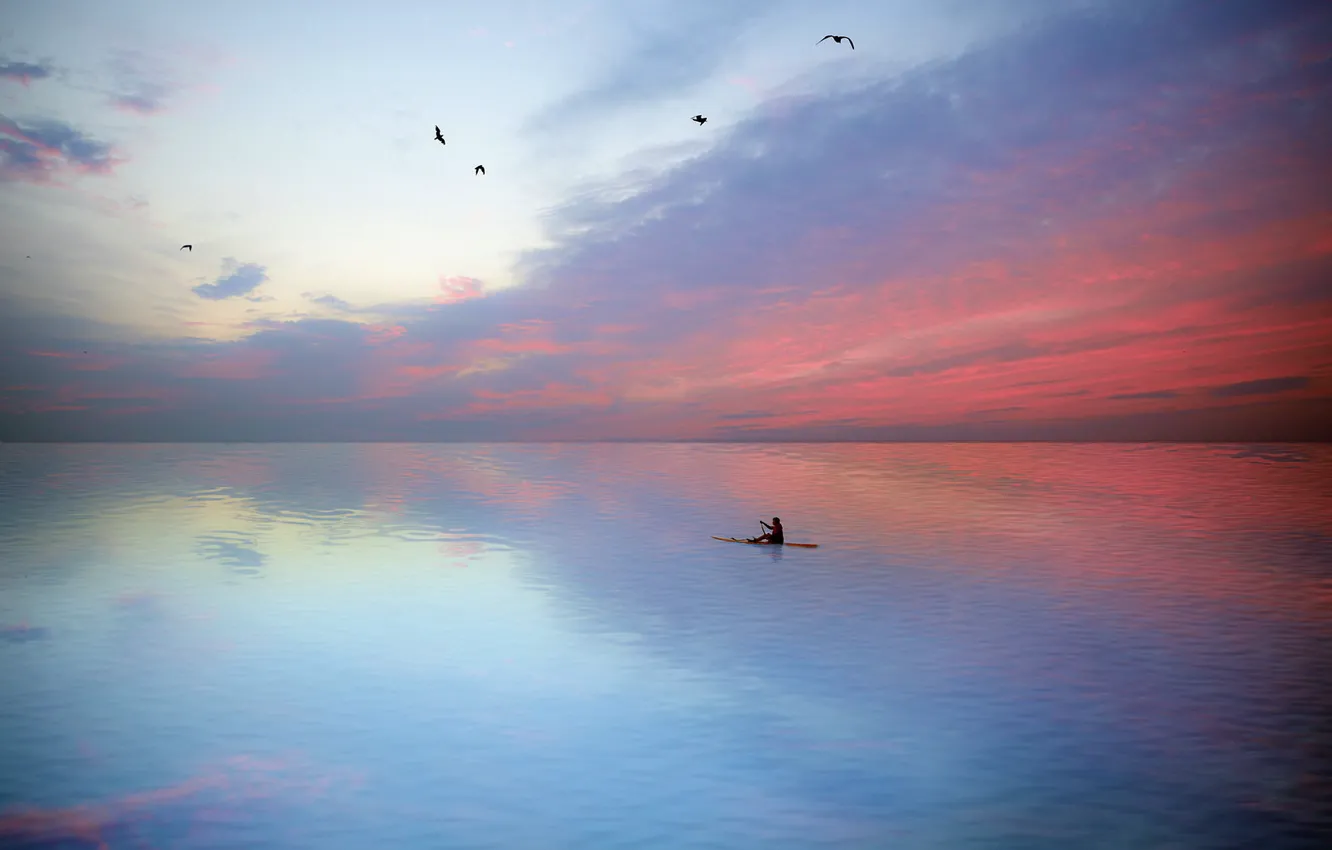 Photo wallpaper sea, bird, people