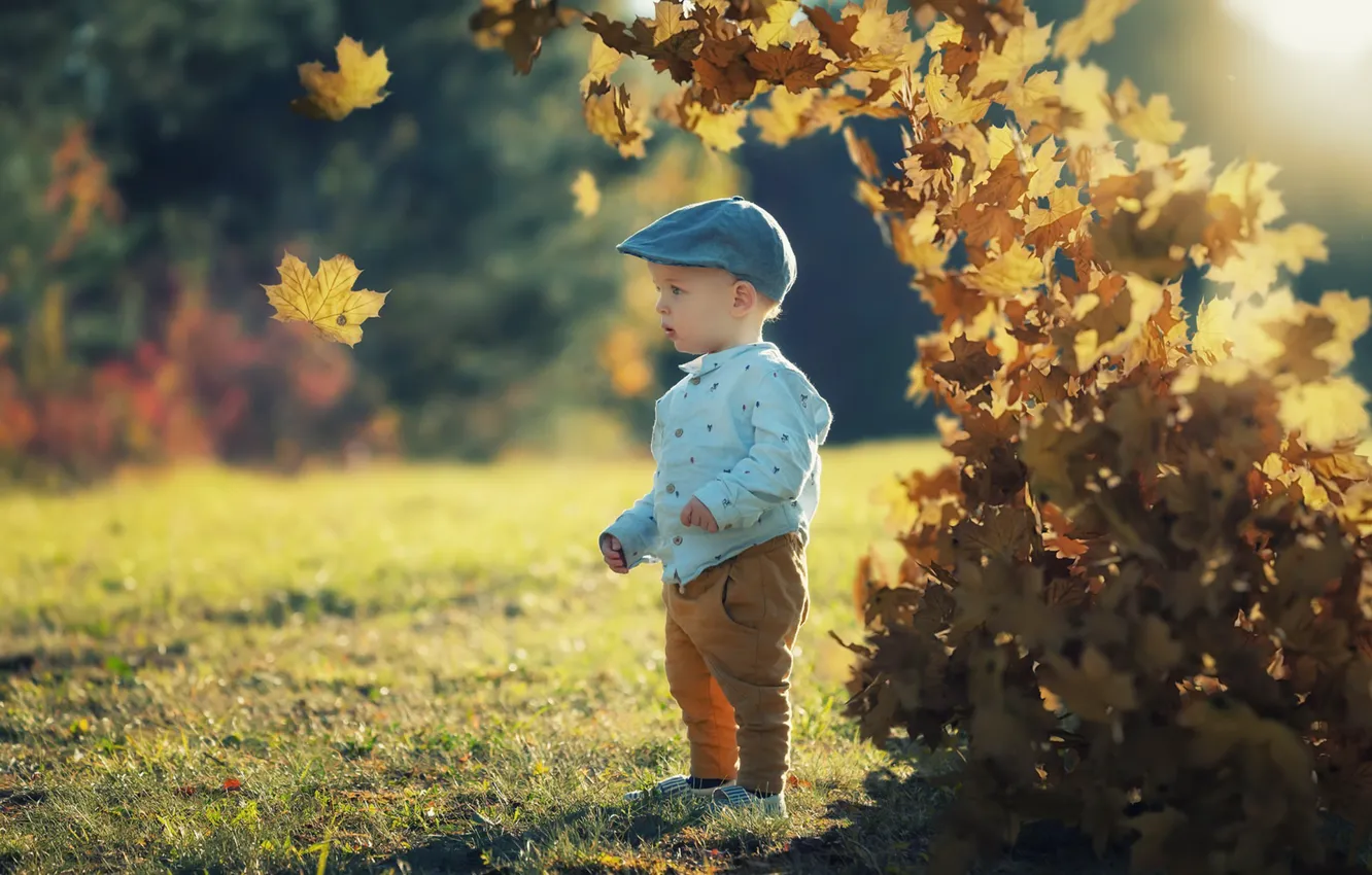 Photo wallpaper autumn, leaves, boy