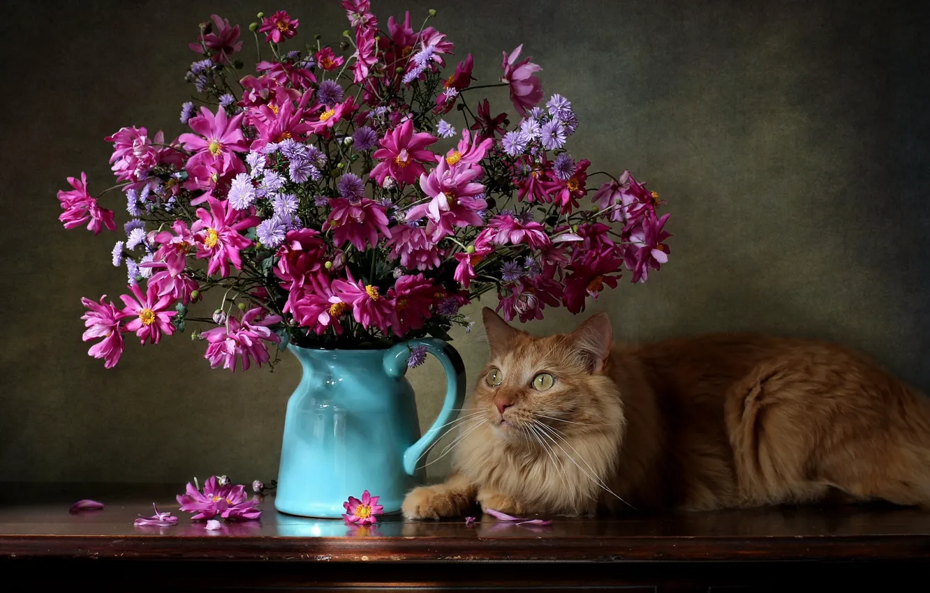 Photo wallpaper flowers, bouquet, chrysanthemum, anemones, red cat, cat