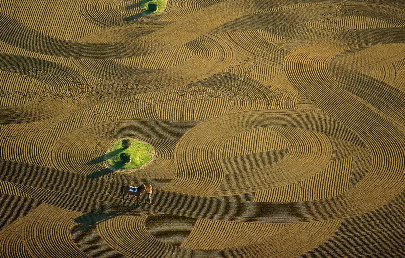 Photo wallpaper running, Ile-de-France, Racecourse, training center, Yvelines, Maisons-Laffitte