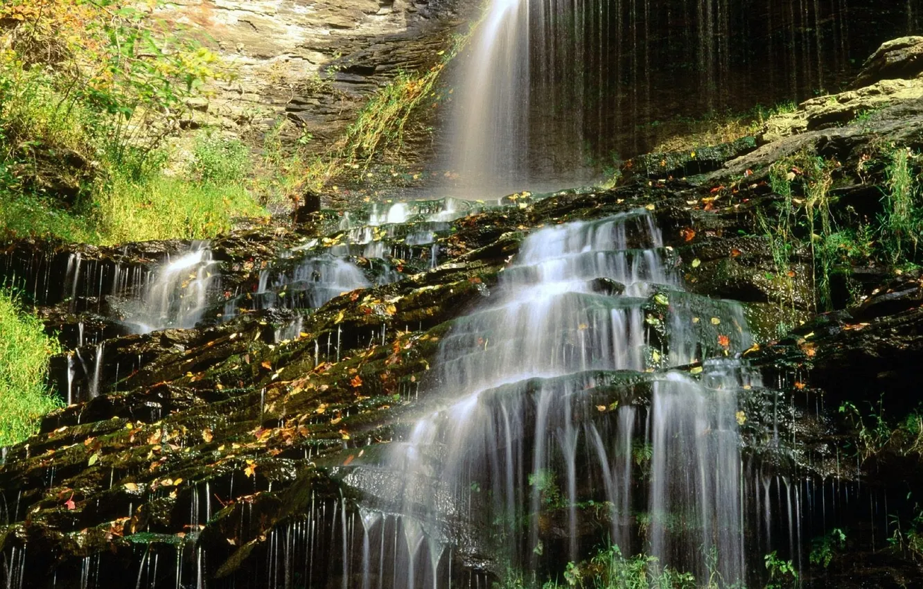 Photo wallpaper grass, leaves, trees, rocks, waterfall, cascade