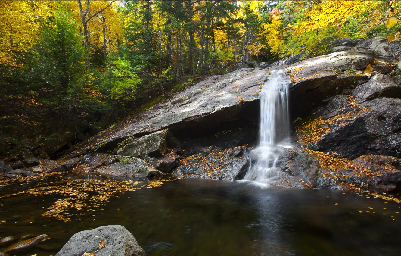 Photo wallpaper forest, rocks, shore, waterfall, stream