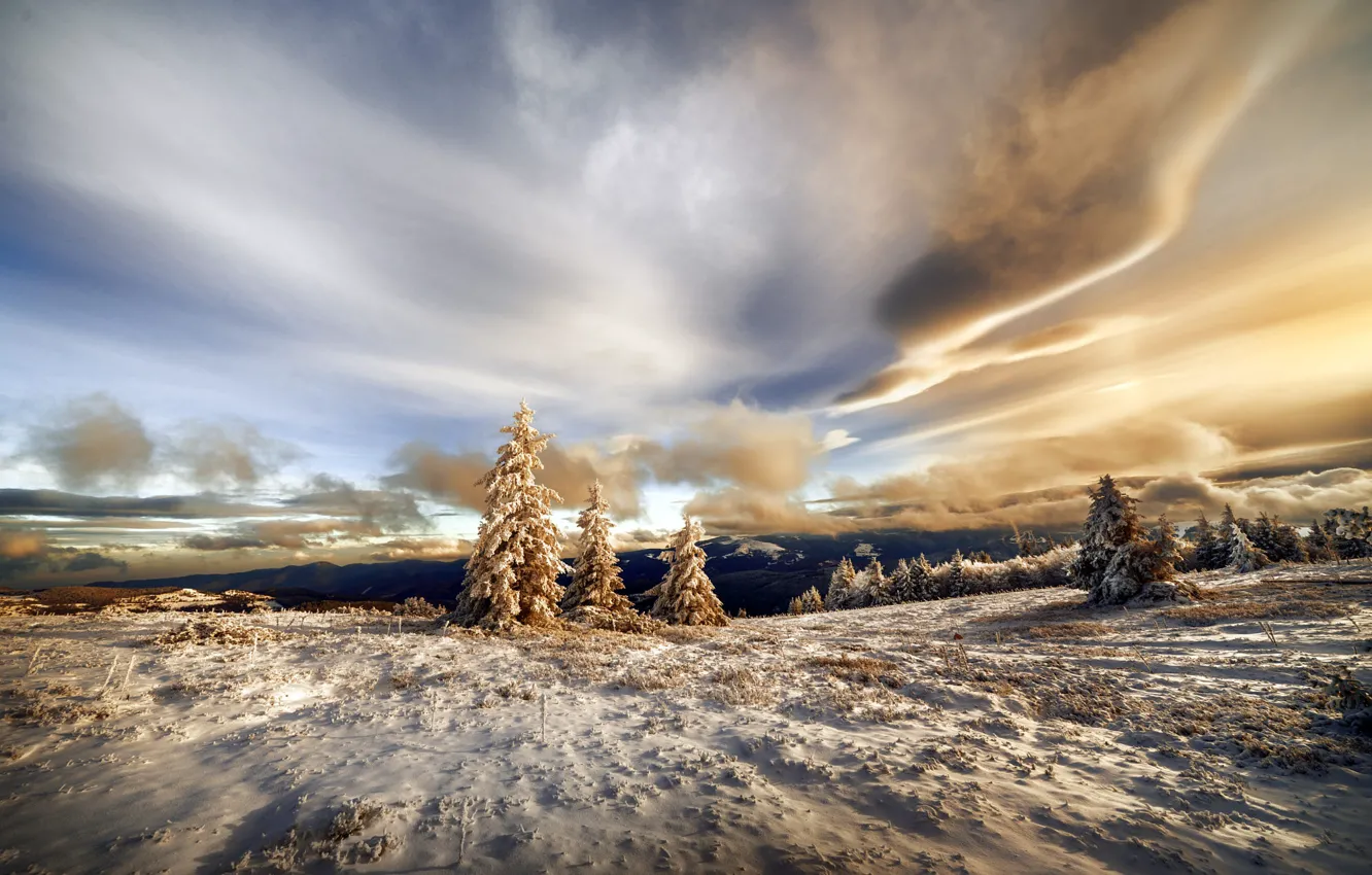 Photo wallpaper winter, forest, the sky, clouds, light, snow, mountains, clouds