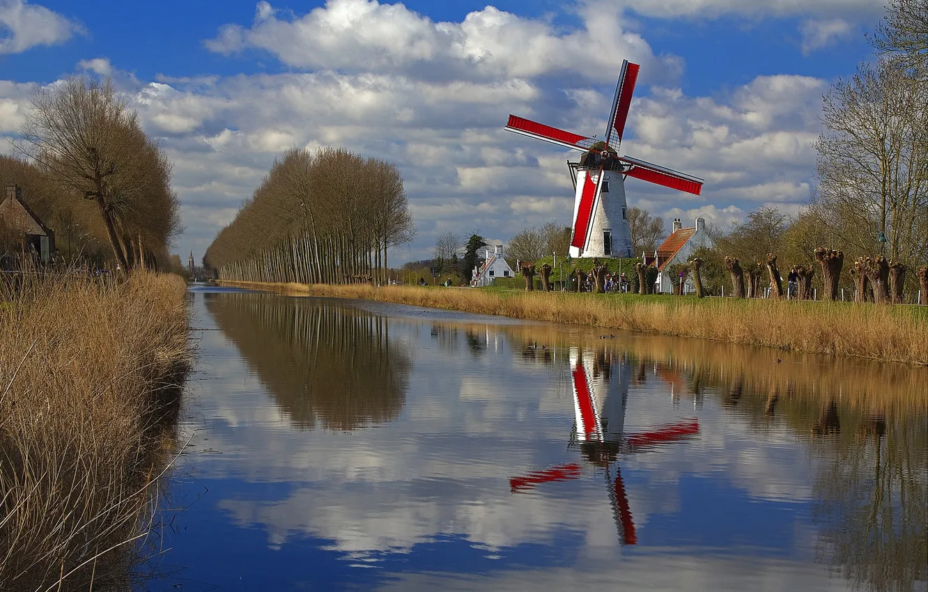 Photo wallpaper trees, reflection, spring, channel, Belgium, Flanders, windmill