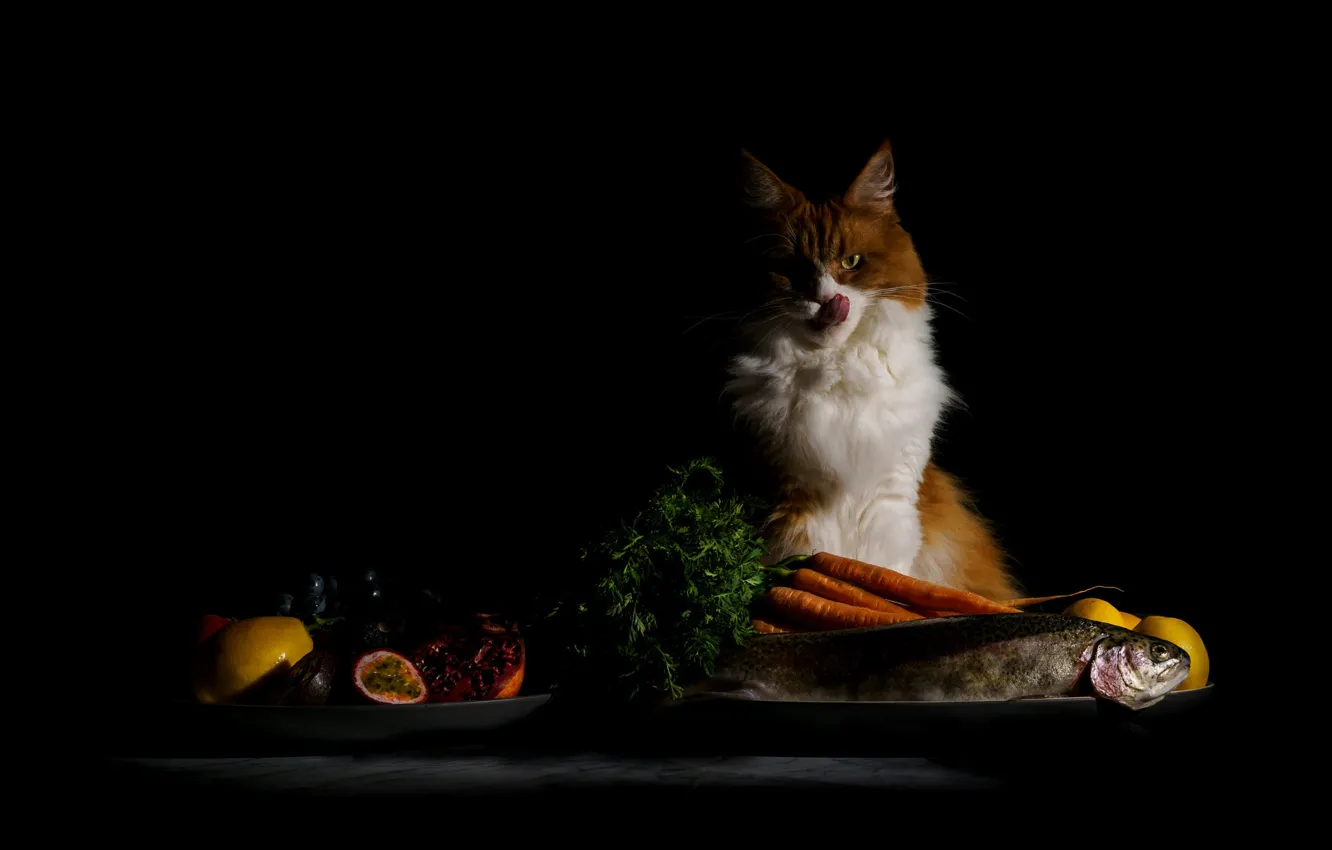 Photo wallpaper language, cat, cat, look, face, pose, table, lemon