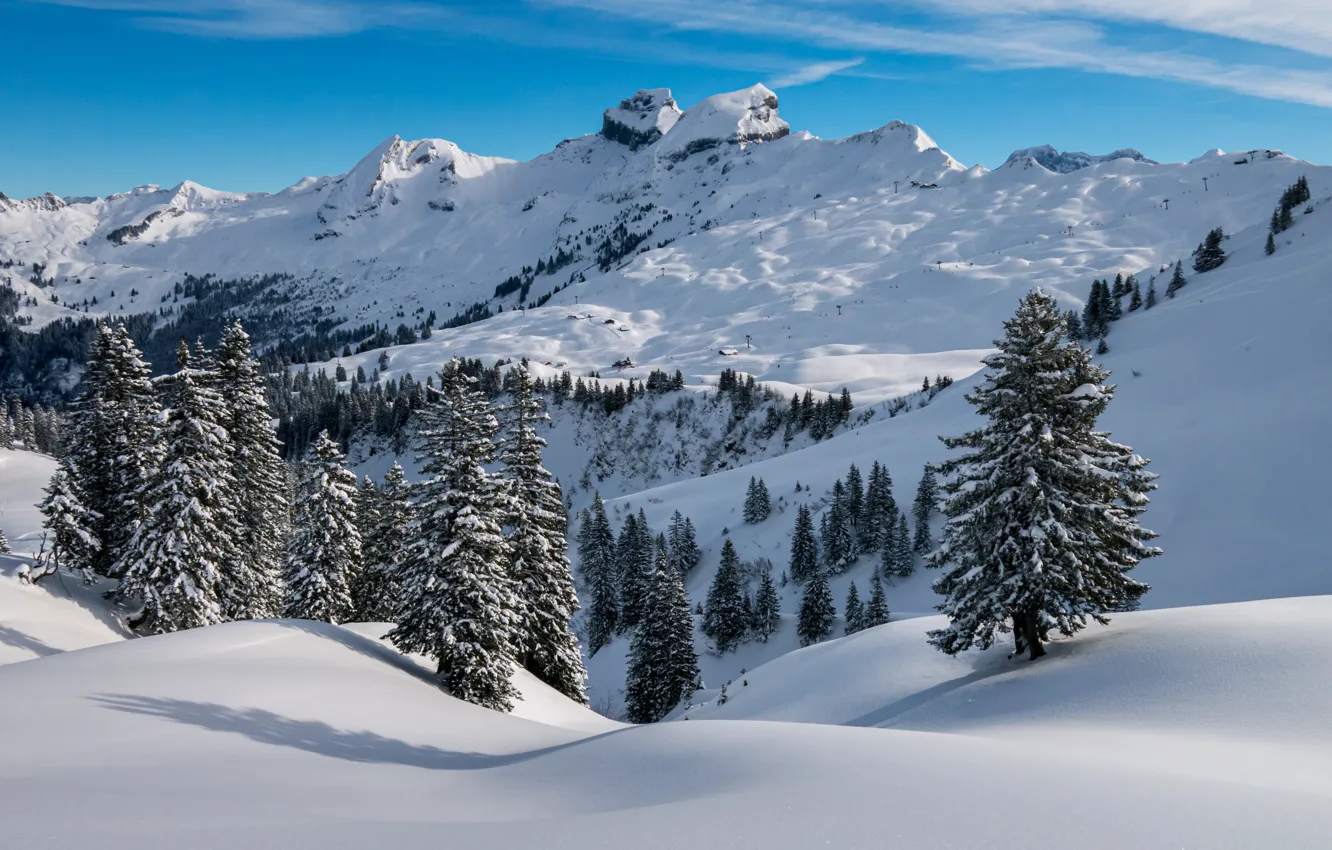 Photo wallpaper winter, forest, snow, mountains, tops, ate, the snow, snowy