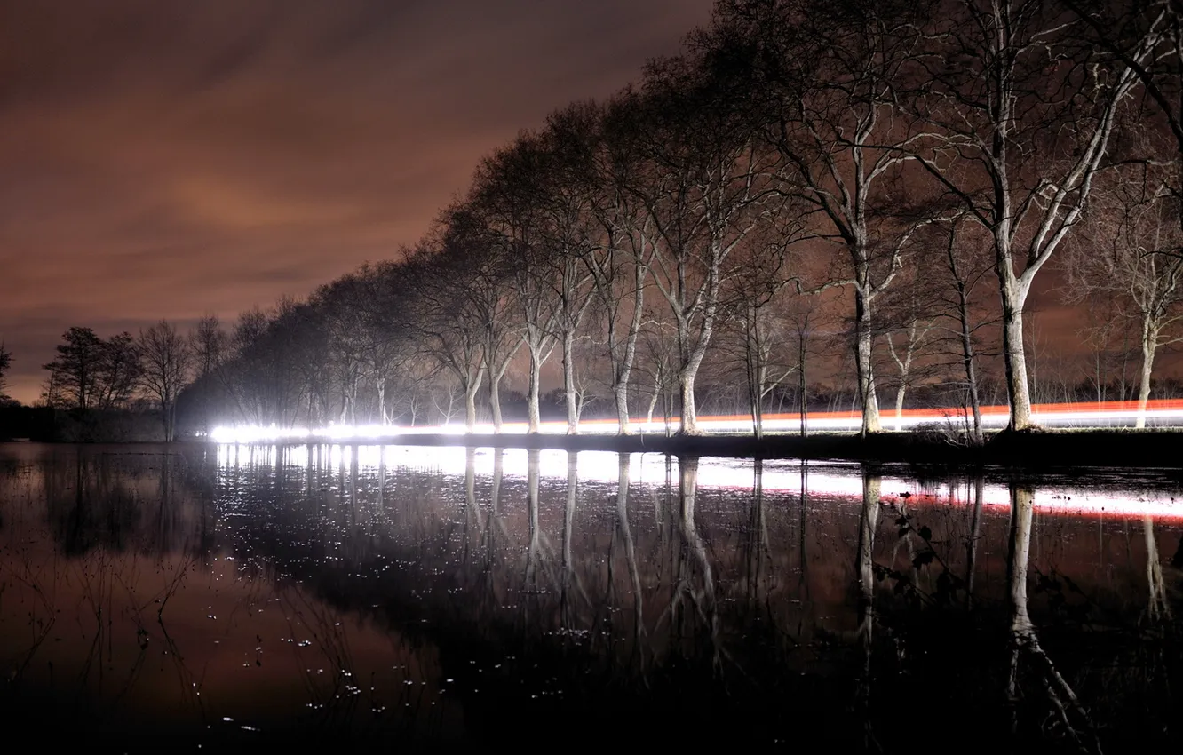 Photo wallpaper trees, landscape, night