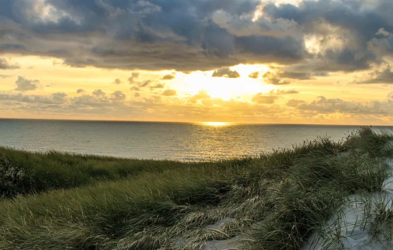 Photo wallpaper sunset, dune, North Sea, Denmark