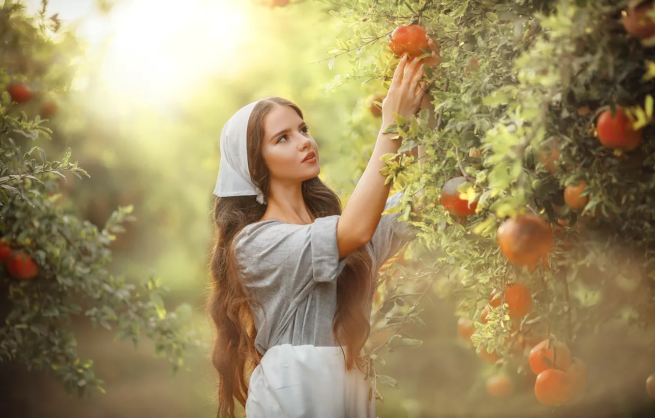 Photo wallpaper girl, light, branches, foliage, garden, brown hair, fruit, beautiful