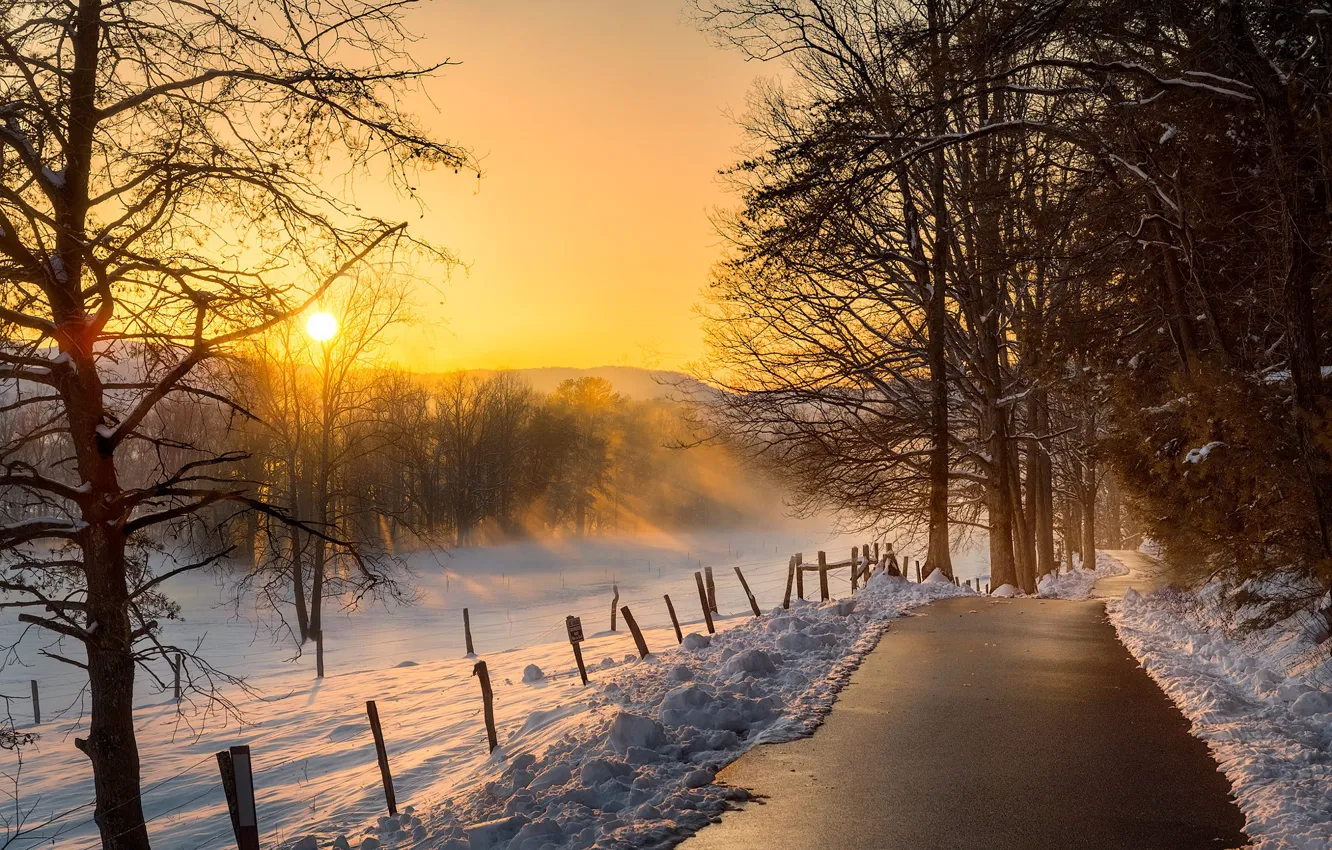 Photo wallpaper winter, snow, trees, sunset, photo, track, Frank Delargy