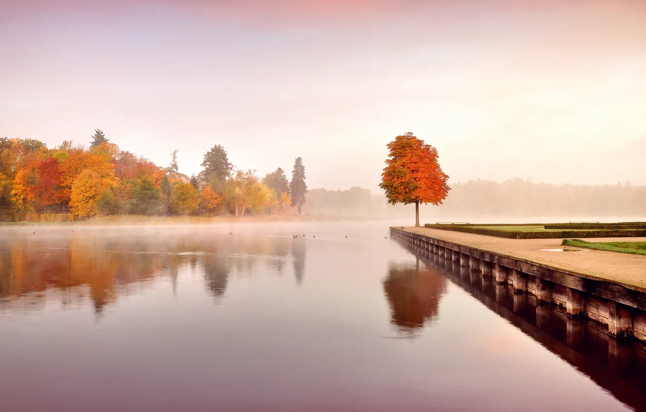 Photo wallpaper autumn, leaves, water, trees, landscape, nature, fog, morning