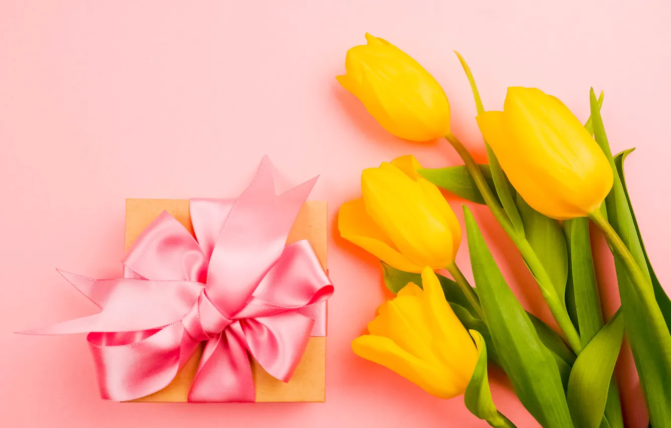 Photo wallpaper flowers, gift, bouquet, tape, tulips, congratulations