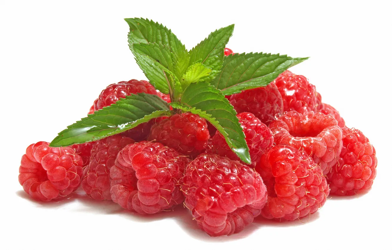 Photo wallpaper leaves, berries, raspberry, mint