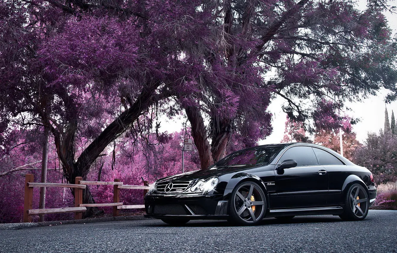 Photo wallpaper trees, coupe, pink, car, Mercedes Benz, Mercedes, CLK, Black Series