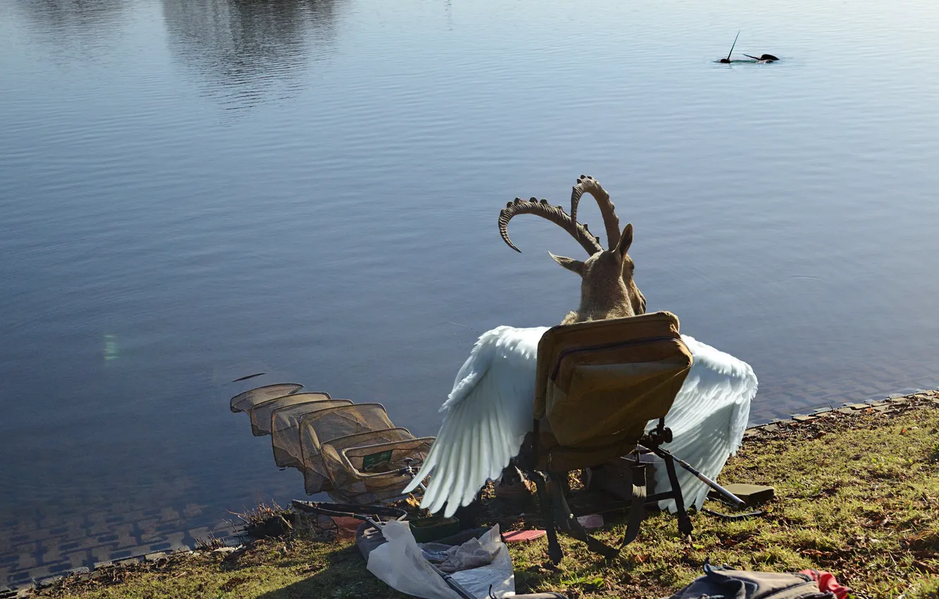 Photo wallpaper network, river, stay, shore, fishing, wings, goat, the demon
