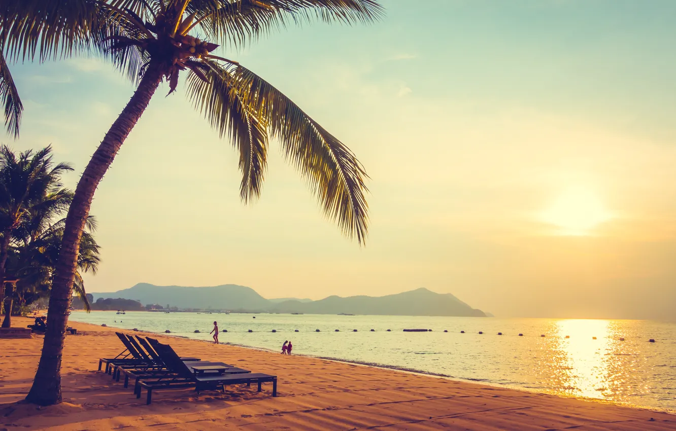 Photo wallpaper sand, sea, wave, beach, summer, the sky, sunrise, palm trees