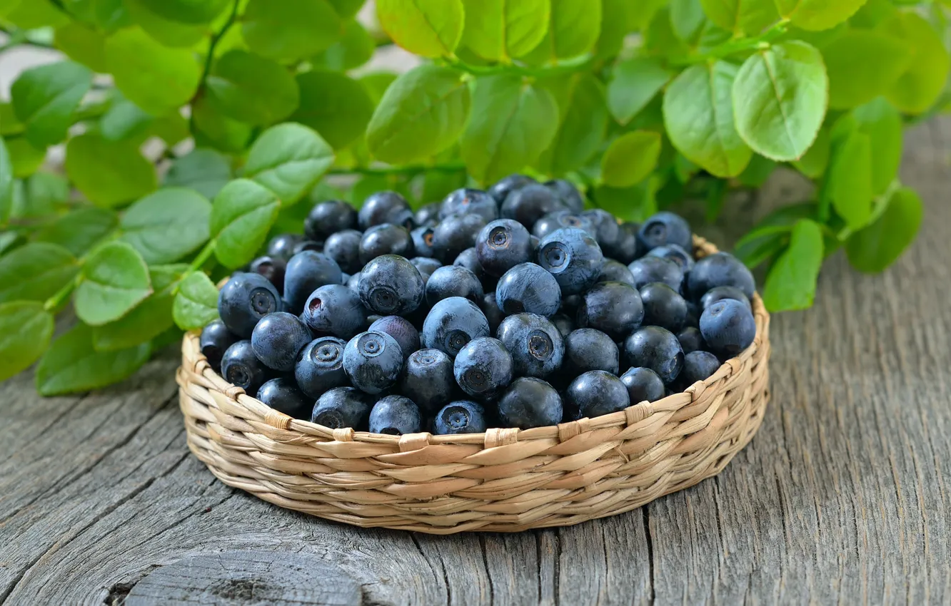 Photo wallpaper berries, blueberries, basket, blueberry