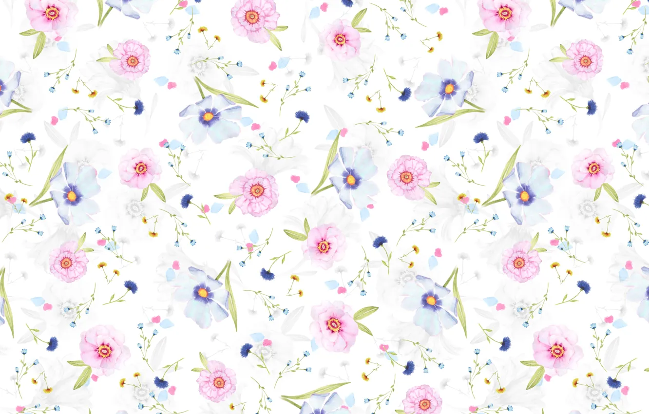 Photo wallpaper background, petals, flowers, Daisy