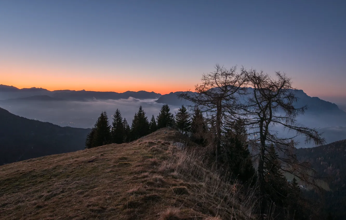 Photo wallpaper autumn, forest, the sky, trees, mountains, fog, open, dawn