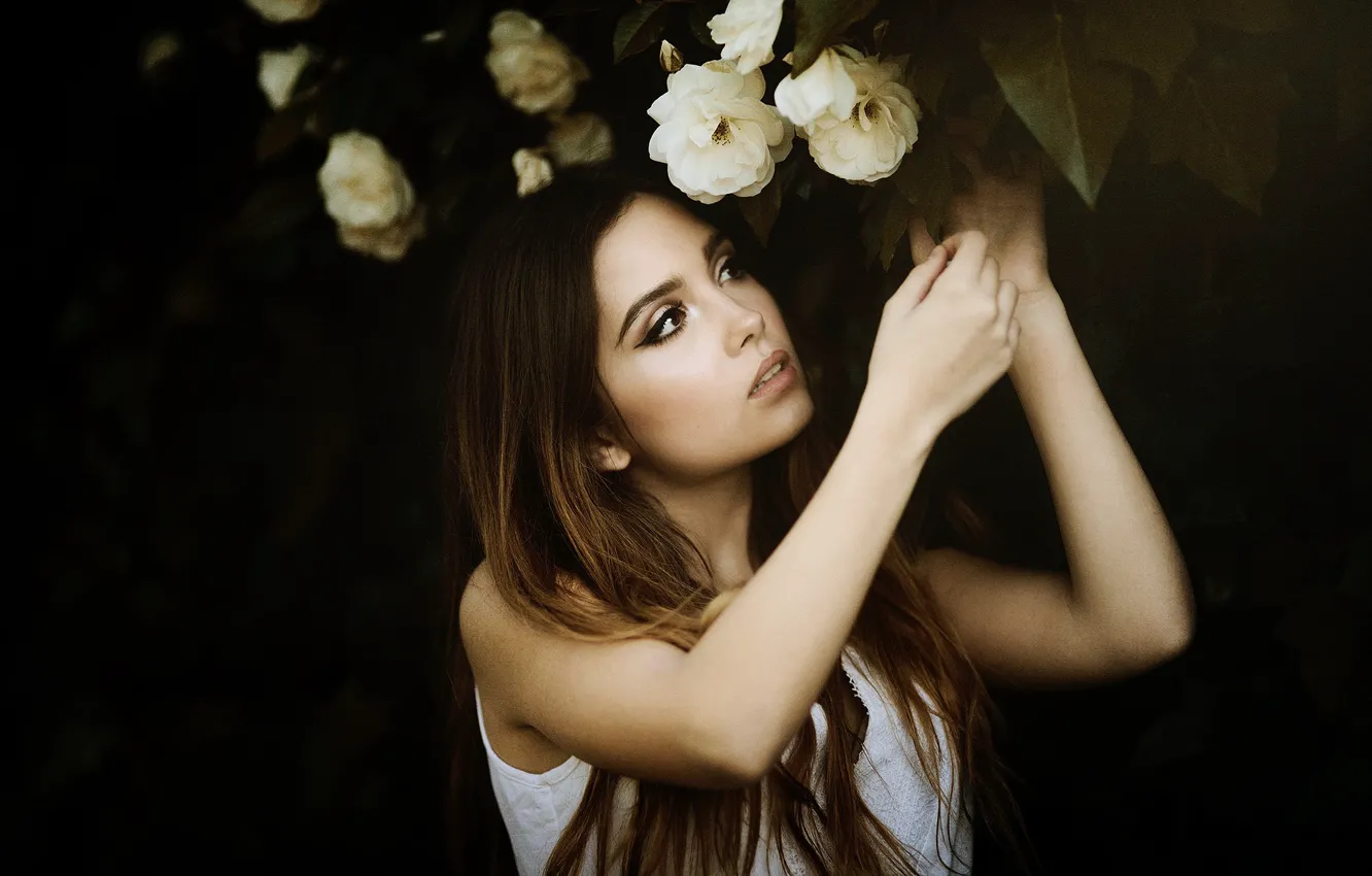 Photo wallpaper girl, flowers, Laulights