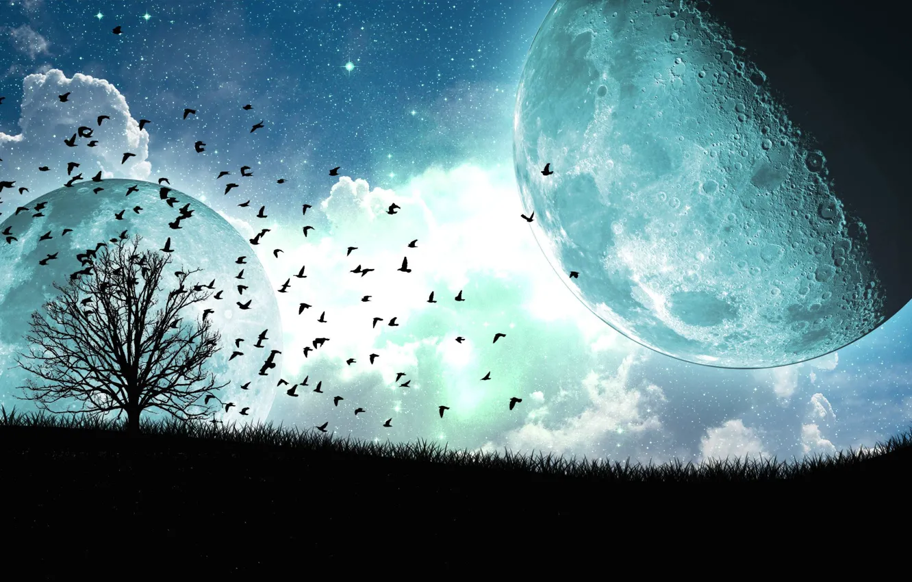 Photo wallpaper clouds, birds, tree, the moon, satellite