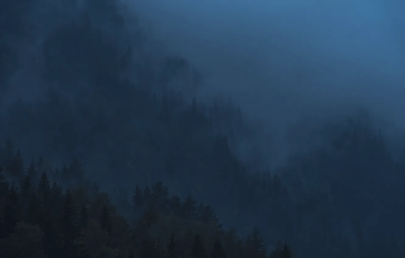 Photo wallpaper trees, nature, fog, slope, twilight