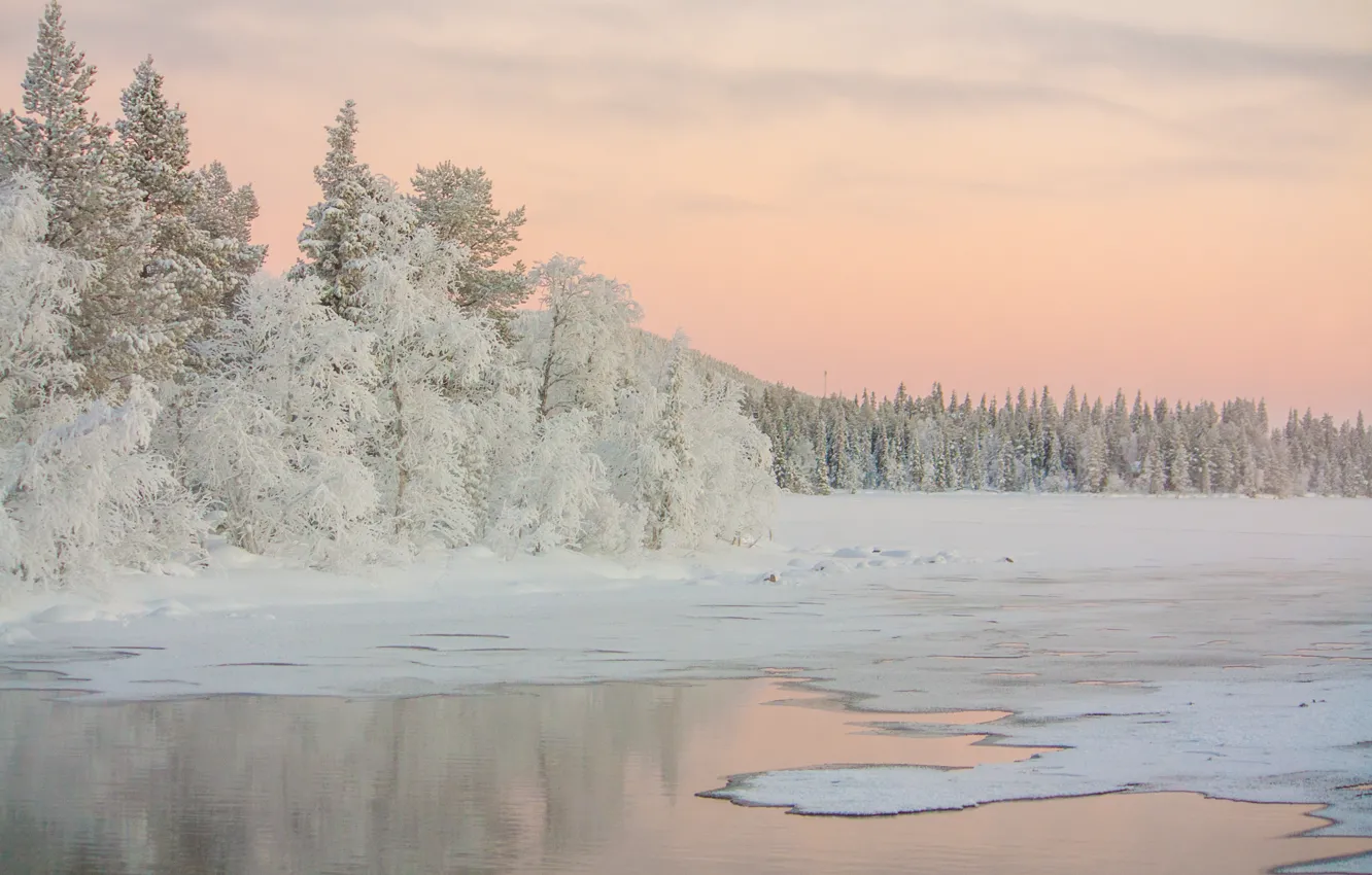 Photo wallpaper winter, trees, lake, dawn