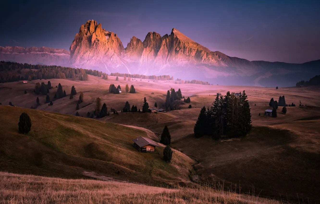 Photo wallpaper trees, mountains, dawn, beauty, space, Italy, haze, trees