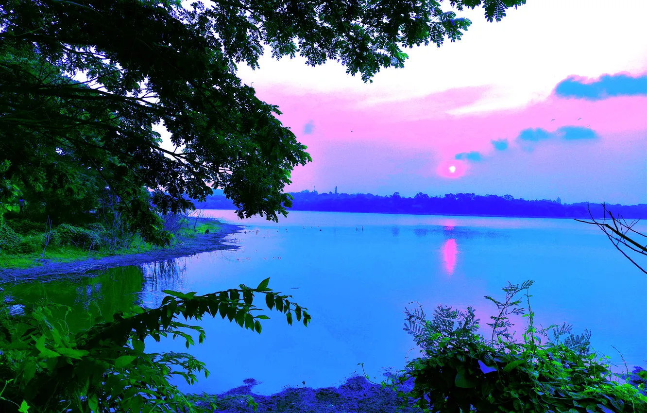 Photo wallpaper trees, water, lake, morning, sun, sunrise, dawn, woods