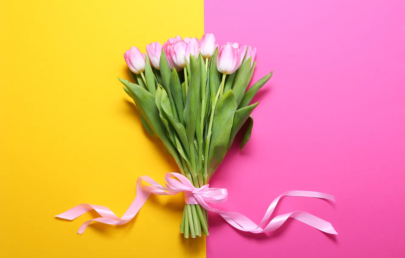 Photo wallpaper flowers, background, bouquet, tulips, pink, flowers, background, tulips