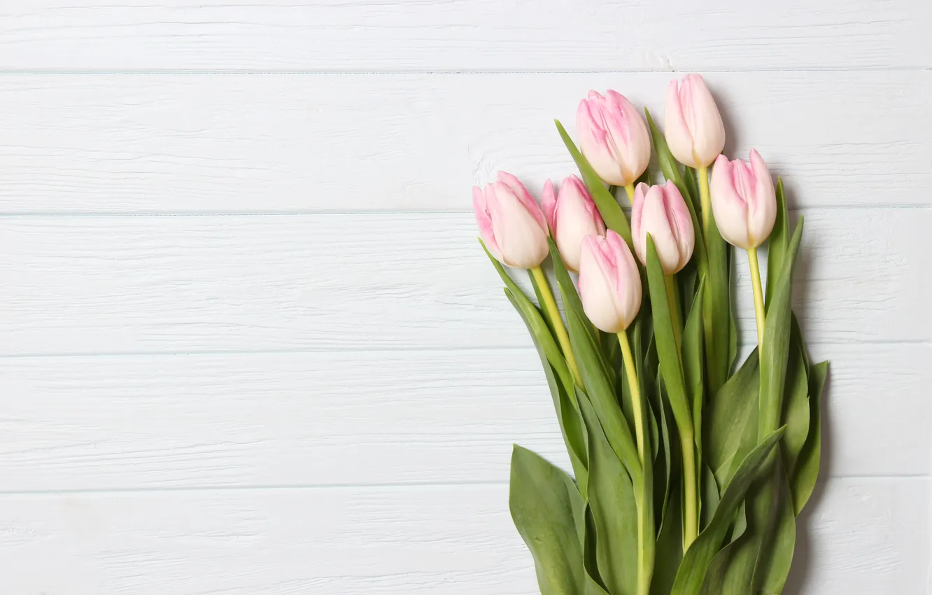 Photo wallpaper flowers, bouquet, tulips, pink, wood, pink, flowers, beautiful