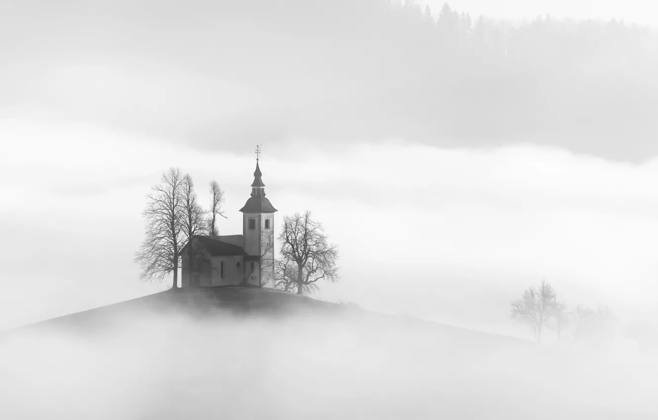 Photo wallpaper nature, fog, house