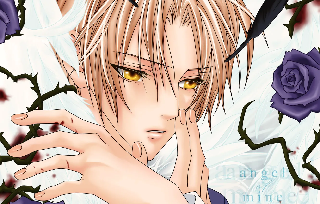 Photo wallpaper anime, art, guy, ura of the bok no pliable who wo shitteiru