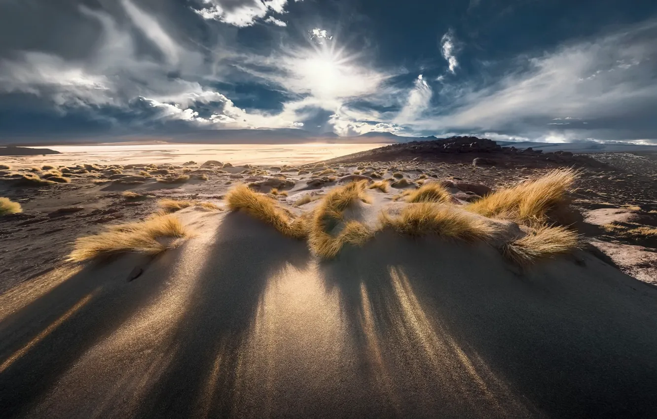Photo wallpaper sea, shore, morning, dunes