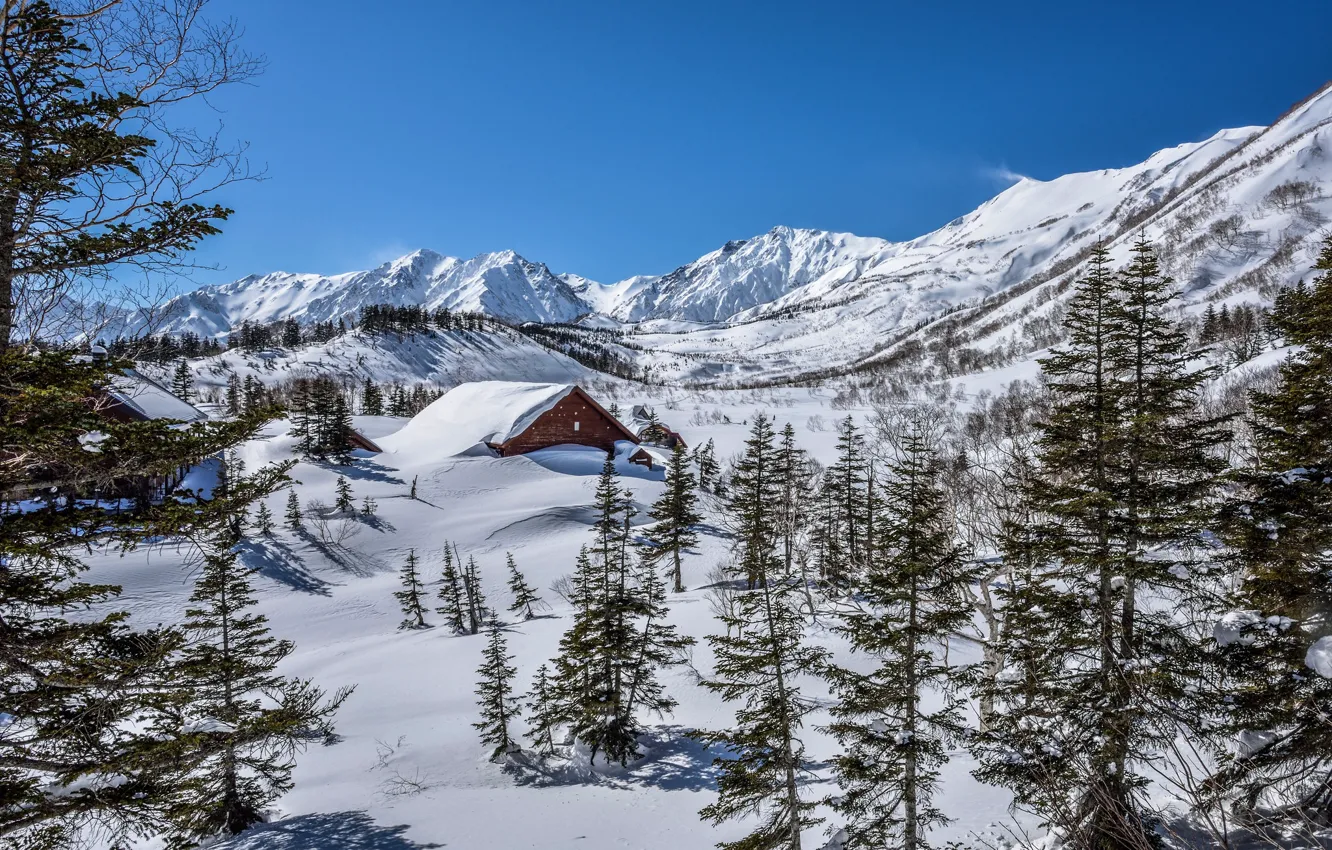 Photo wallpaper winter, roof, forest, the sky, snow, mountains, branches, nature