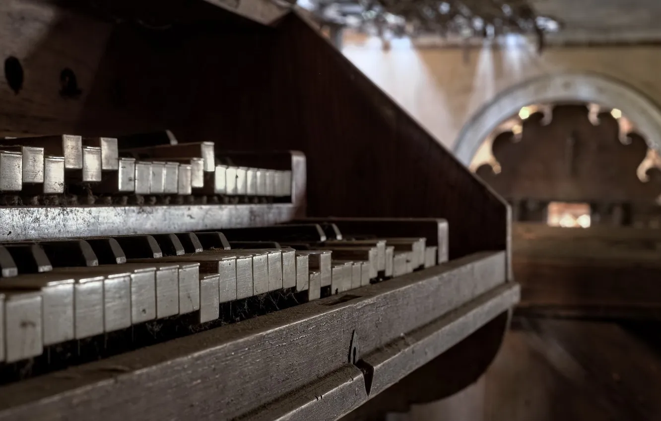 Photo wallpaper music, background, body