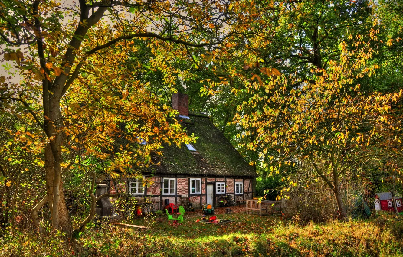 Photo wallpaper roof, autumn, trees, house, foliage, Germany, art, shop