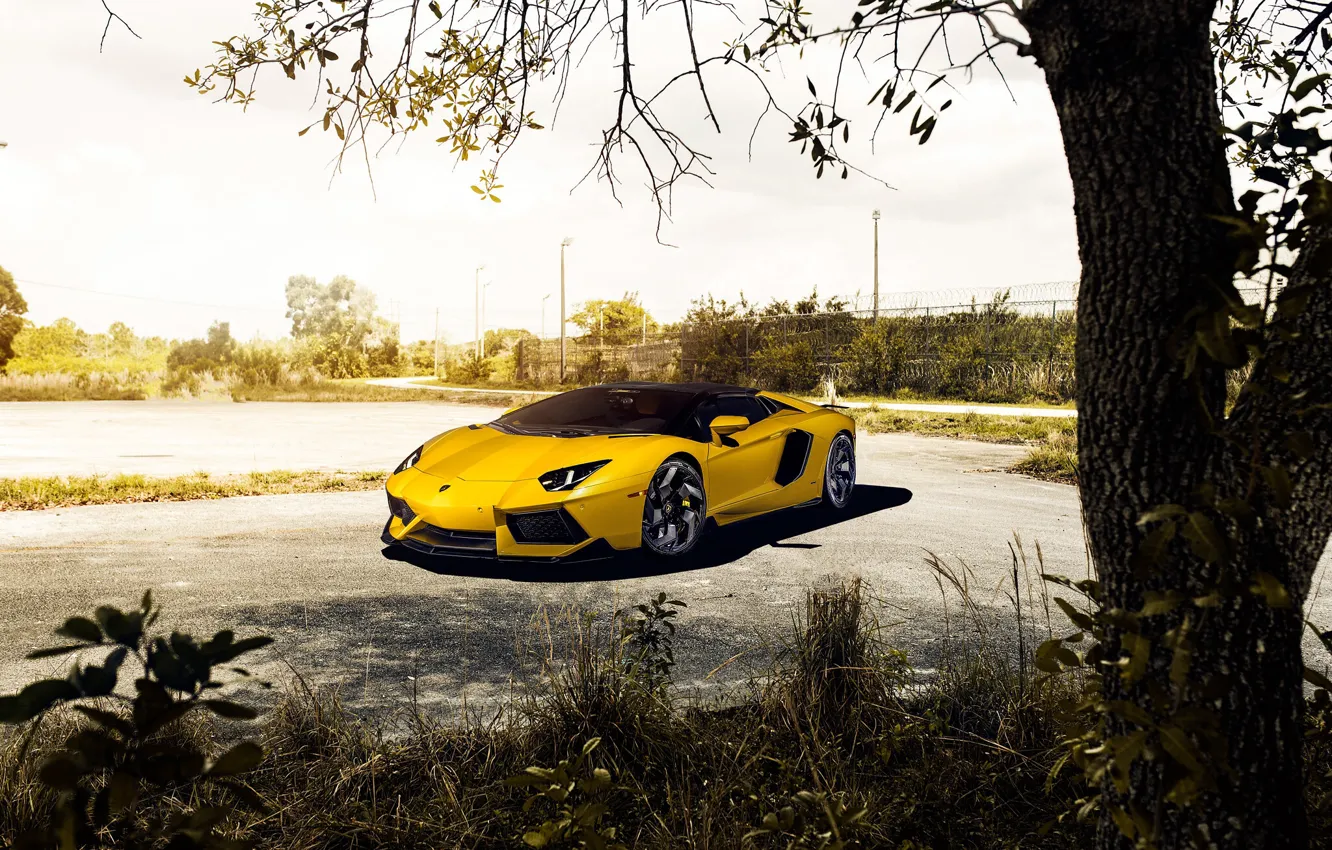 Photo wallpaper Lamborghini, Black, Yellow, Aventador, Lp700-4, Wheels
