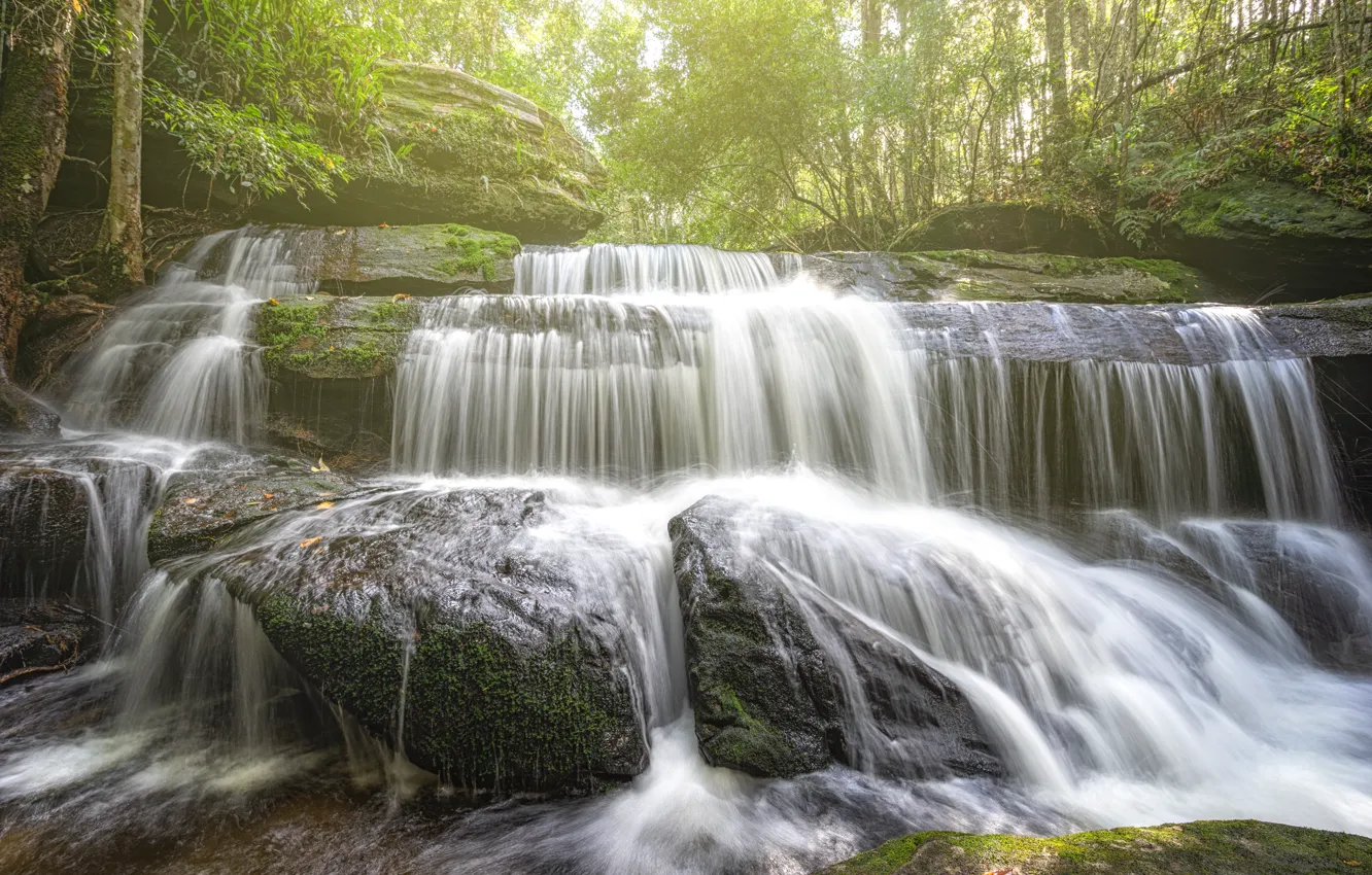 Photo wallpaper forest, landscape, river, rocks, waterfall, summer, forest, tropical