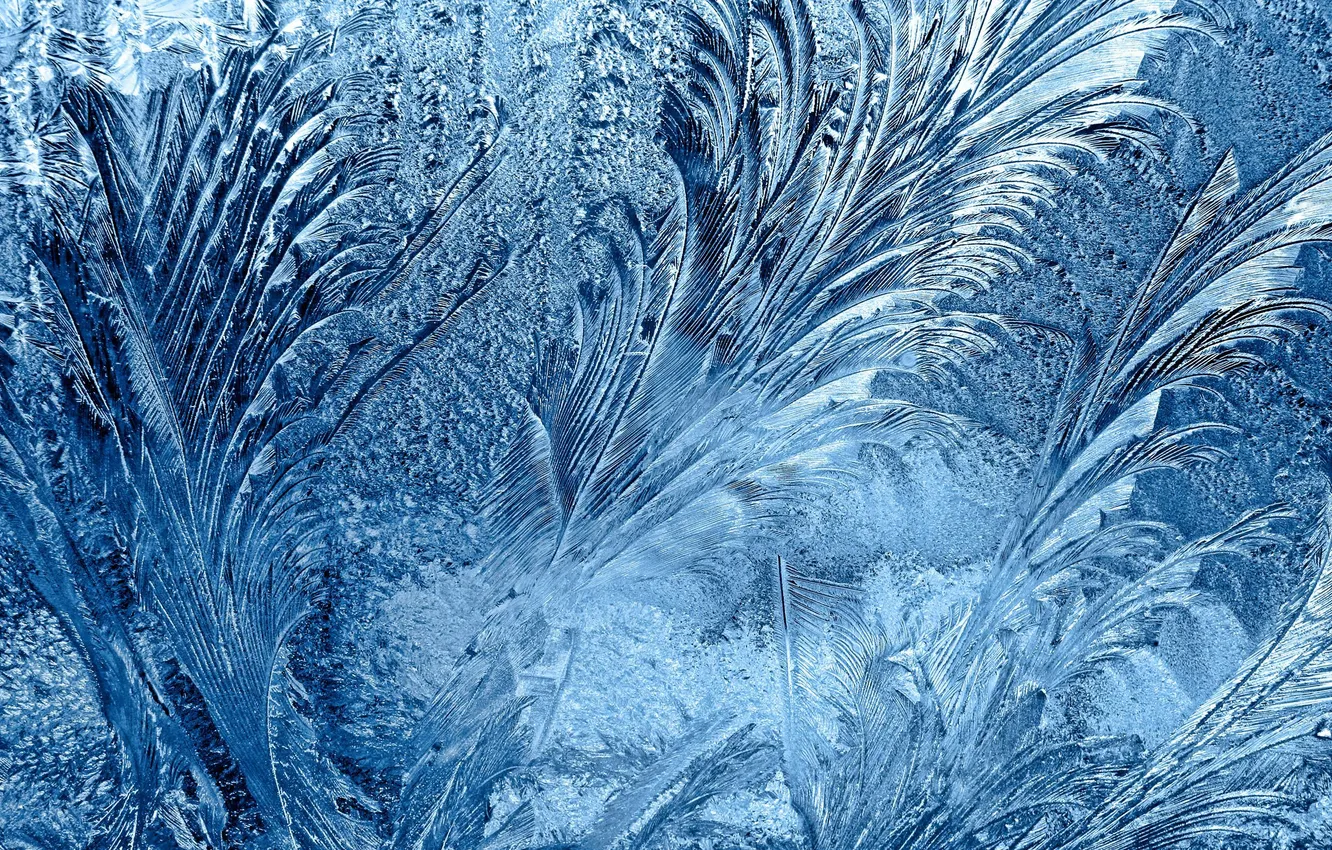 Photo wallpaper winter, frost, macro, frost, frost, Patterns on the window